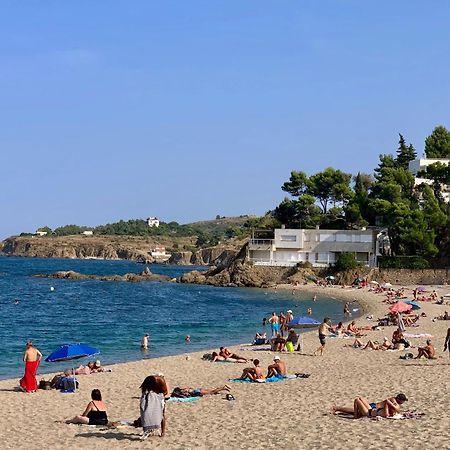 Studio Moderne Argeles Sur Mer.La Plage A Pieds, Espagne A 30Mn Apartment Exterior photo